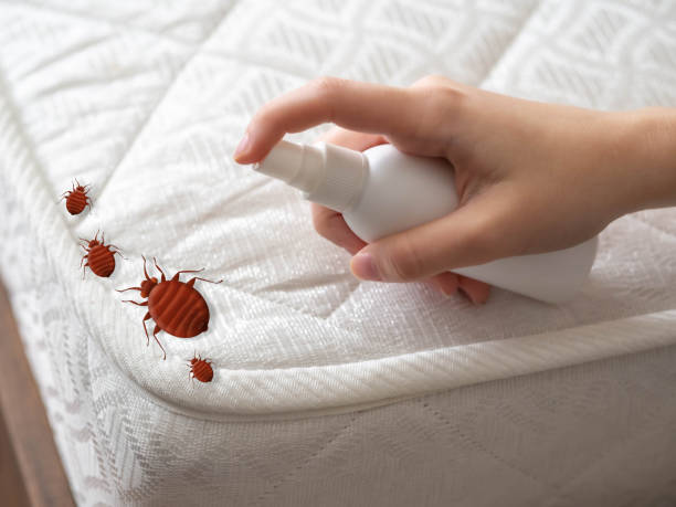 Best Bed Bug Extermination  in Claxton, GA