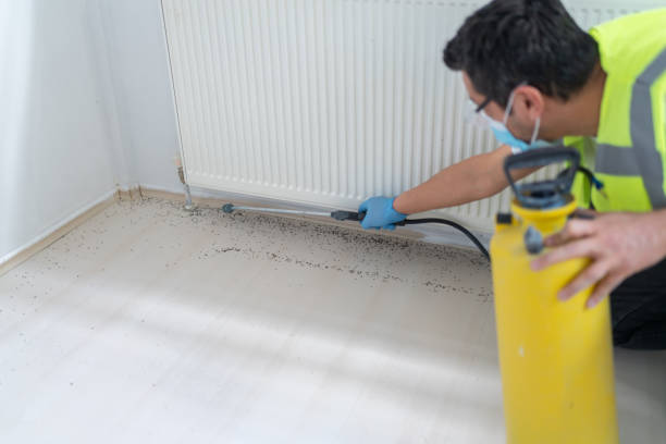 Best Pest Inspection Near Me  in Claxton, GA